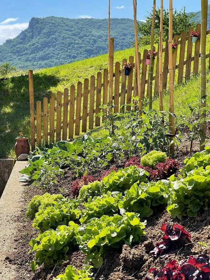 Agriturismo San Lorenzo di Persegno Toscolano-Maderno