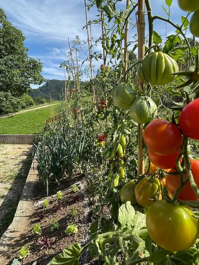 Agriturismo San Lorenzo Di Persegno Toscolano-Maderno
